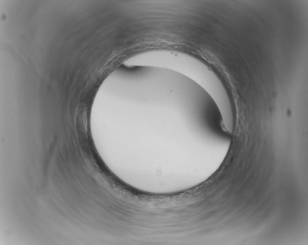 X0000052540021200507291902