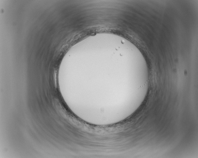 X0000052540022200507291902