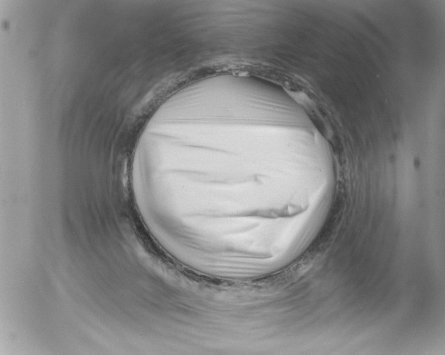 X0000052540024200507291902