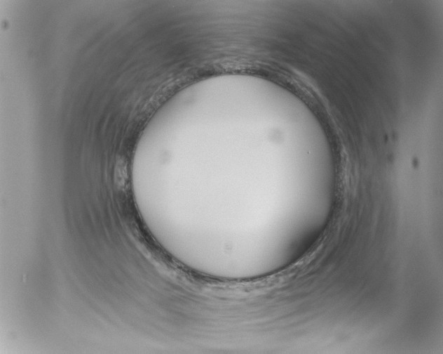 X0000052540025200507291902