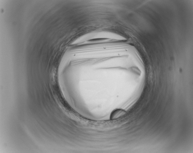 X0000052540026200507291902