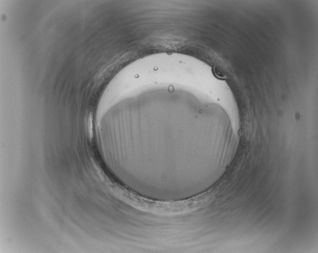 X0000052540027200507291902