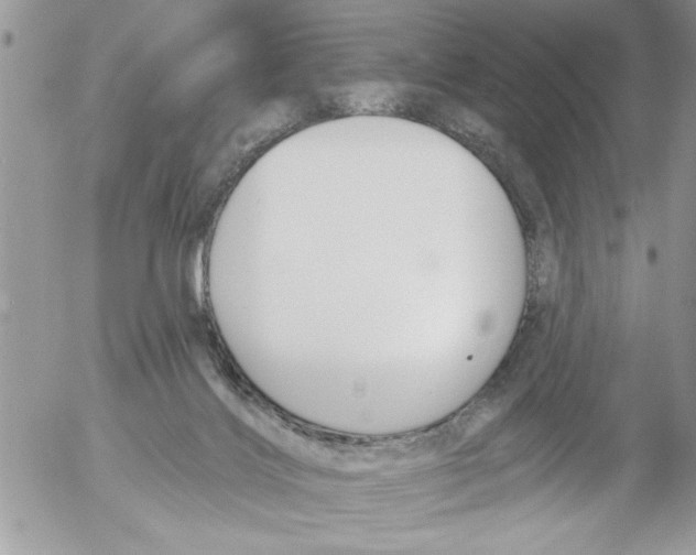 X0000052540028200507291902