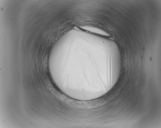 X0000052540030200507291902