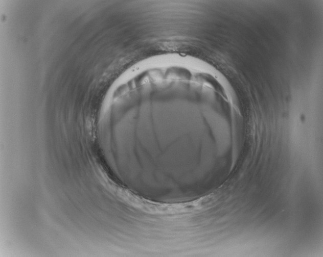 X0000052540031200507291902