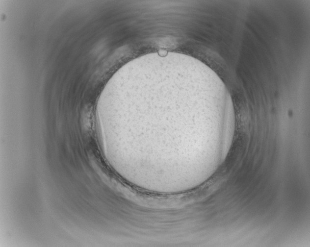 X0000052540032200507291902