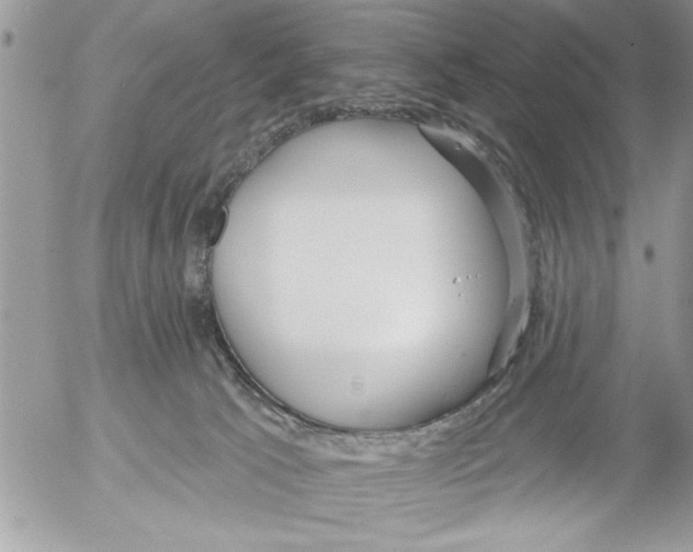 X0000052540033200507291901