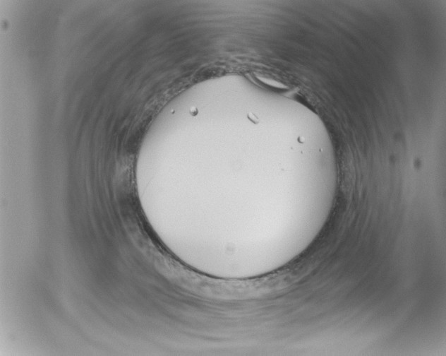 X0000052540034200507291901