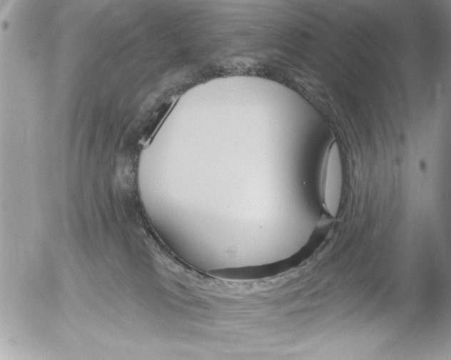 X0000052540037200507291901