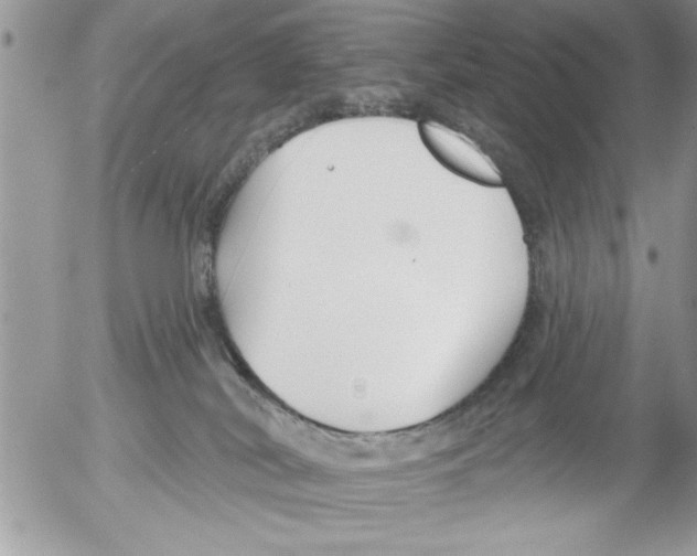 X0000052540038200507291901