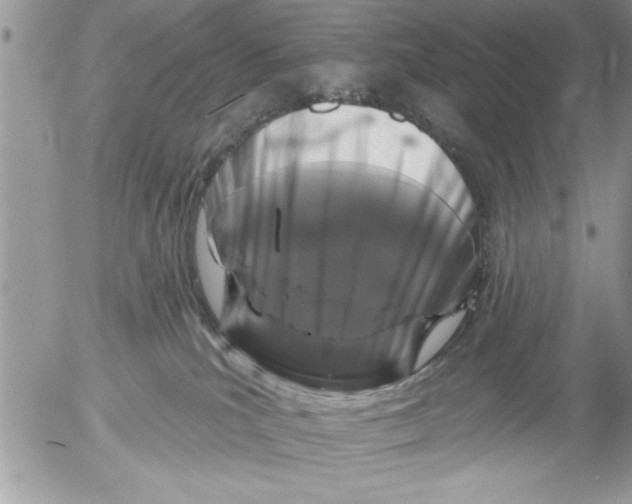 X0000052540039200507291901