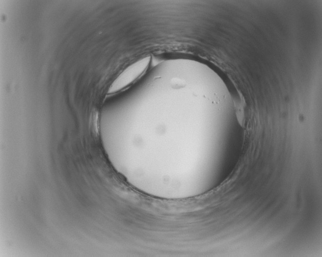 X0000052540041200507291901