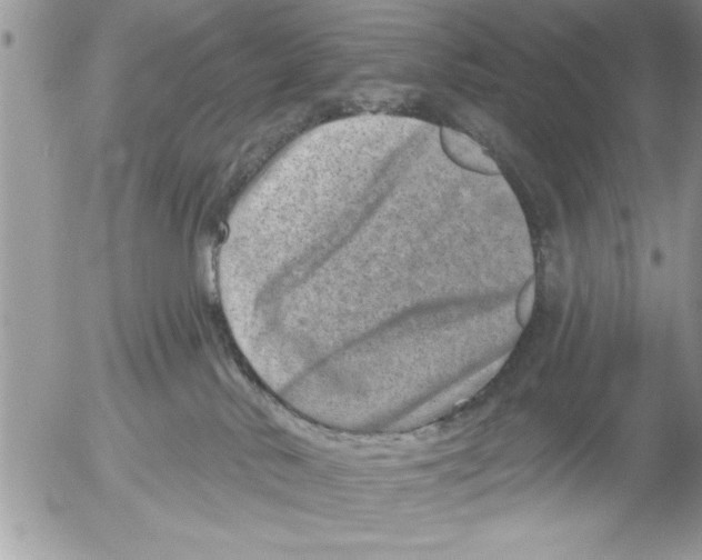 X0000052540042200507291901