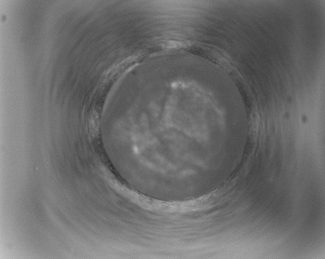 X0000052540043200507291901