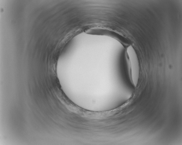 X0000052540045200507291901