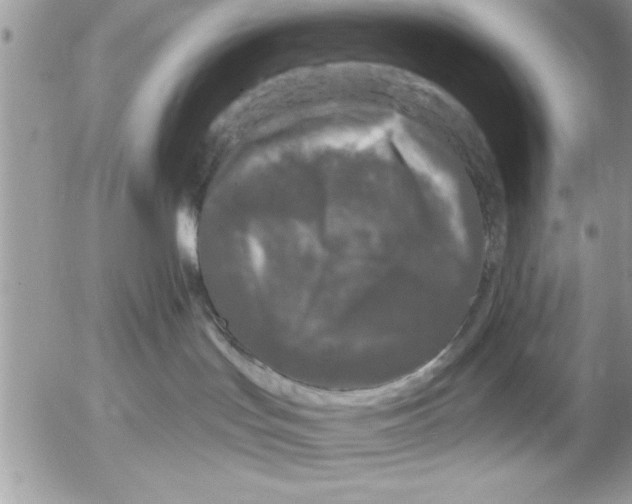 X0000052540047200507291901