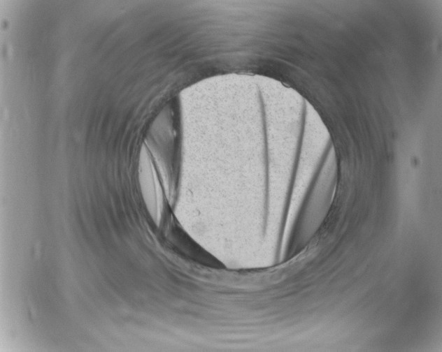 X0000052540048200507291901