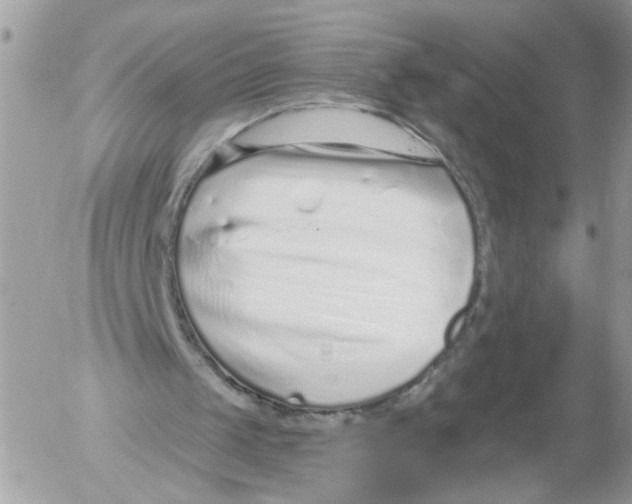 X0000052540049200507291900