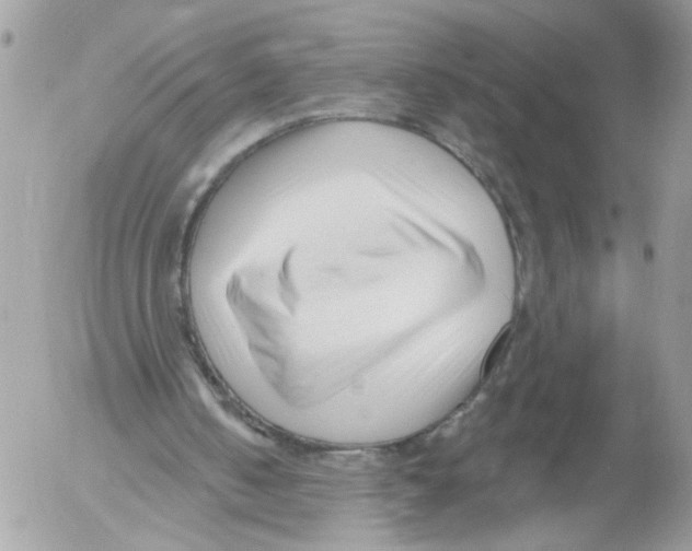 X0000052540050200507291900