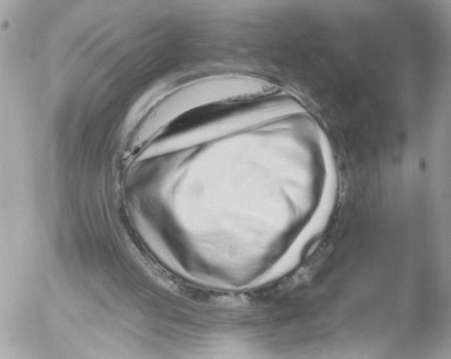 X0000052540053200507291901