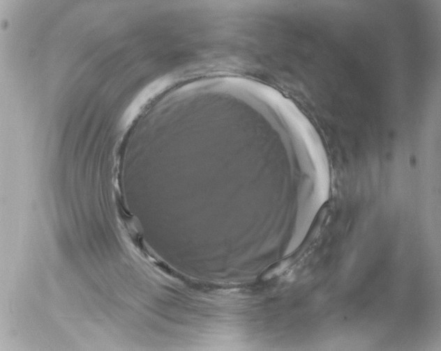 X0000052540054200507291901