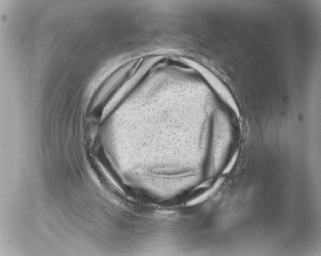 X0000052540055200507291901