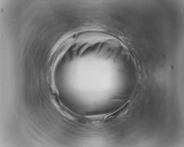 X0000052540056200507291901