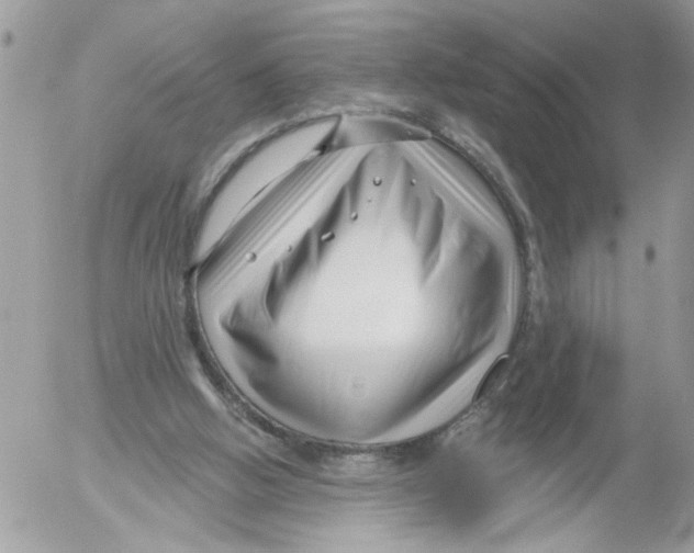 X0000052540058200507291901