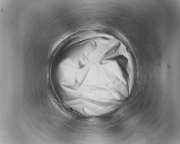 X0000052540059200507291901