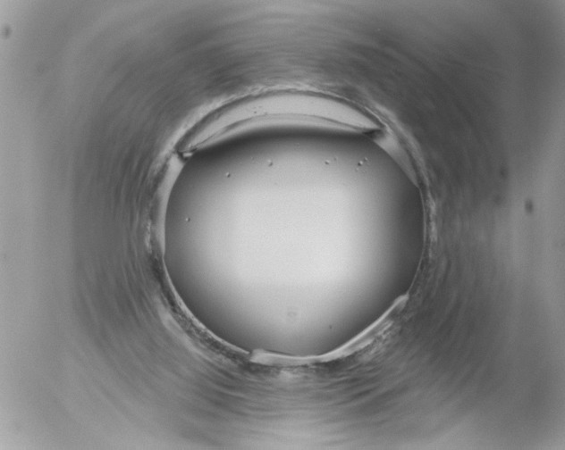 X0000052540060200507291901