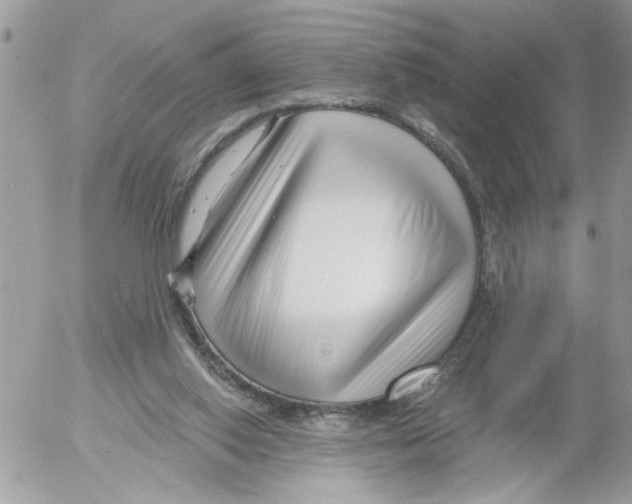 X0000052540062200507291901