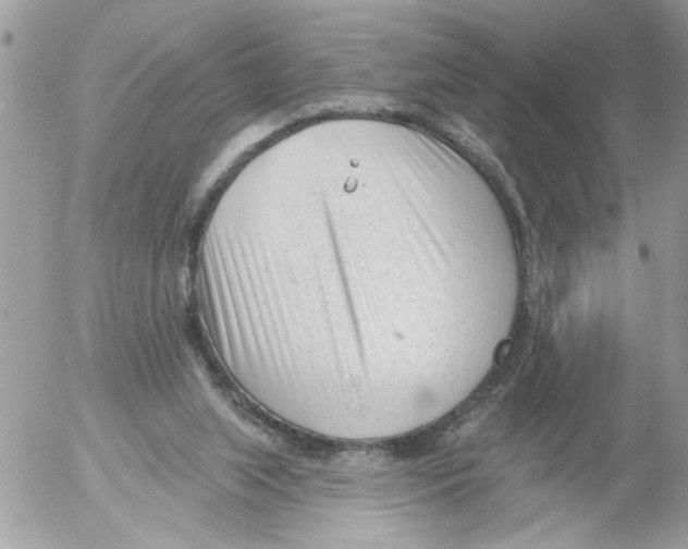 X0000052540063200507291901