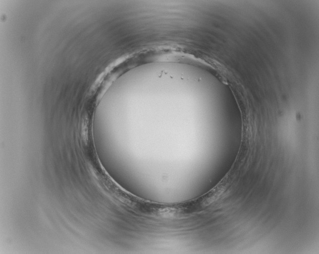 X0000052540064200507291901