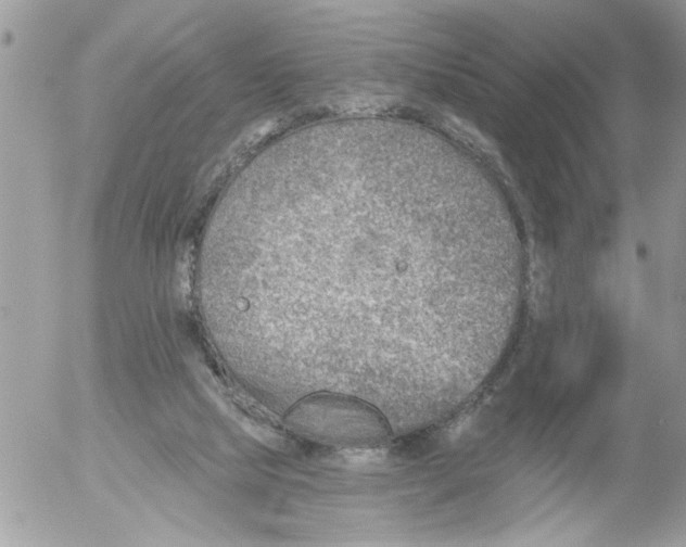 X0000052540065200507291901