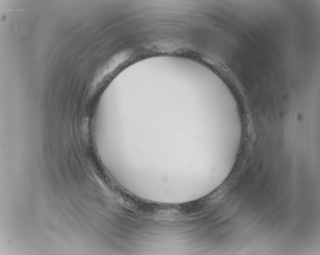 X0000052540066200507291901