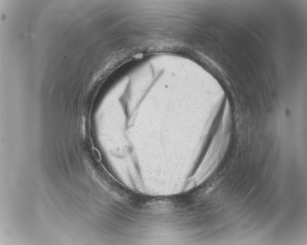 X0000052540067200507291901