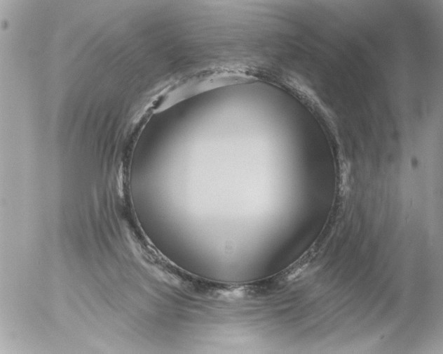 X0000052540068200507291901