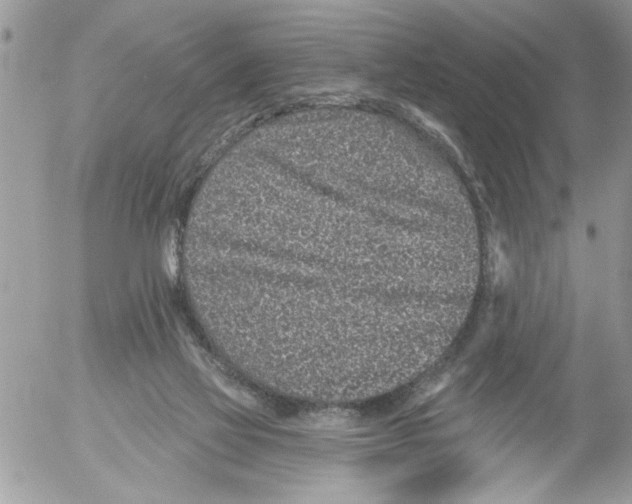 X0000052540069200507291901