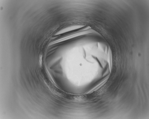 X0000052540070200507291901