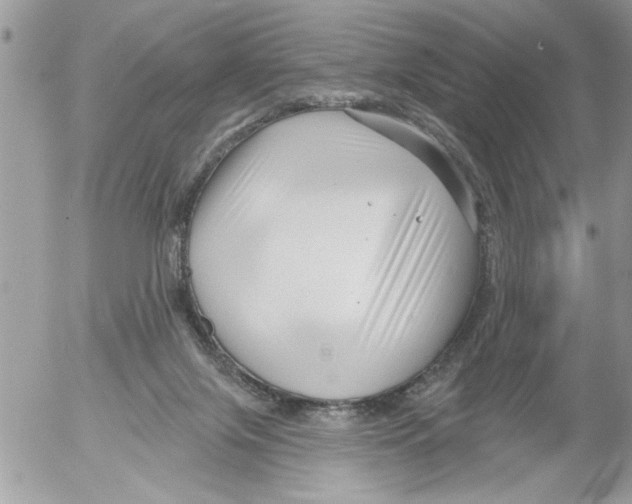 X0000052540071200507291901