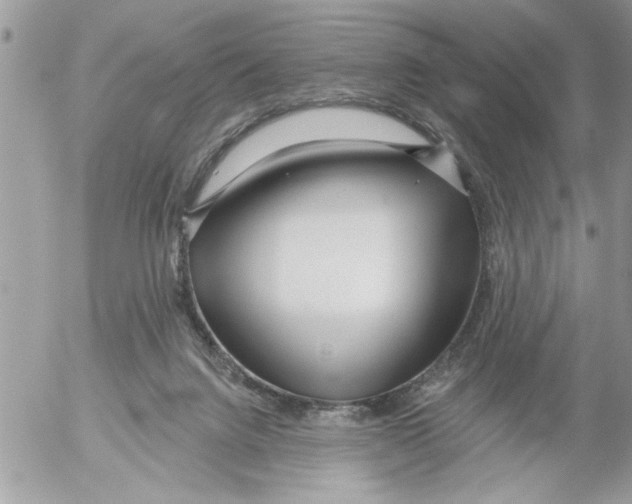 X0000052540072200507291901