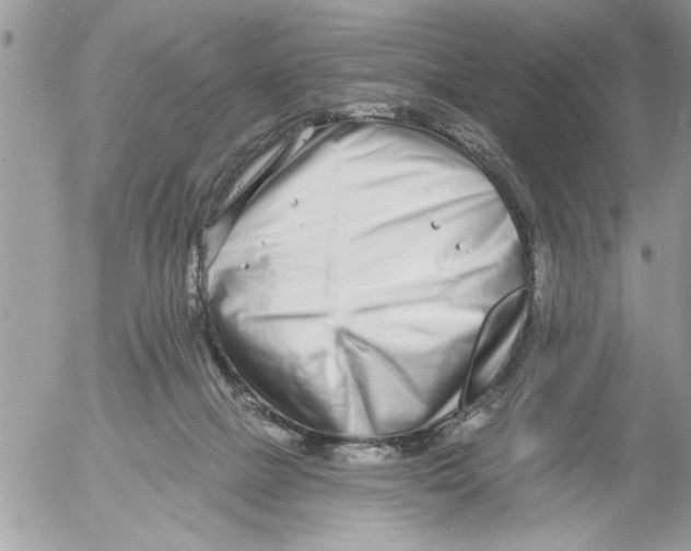 X0000052540073200507291901