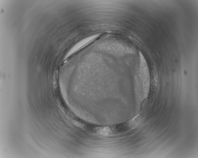 X0000052540074200507291901