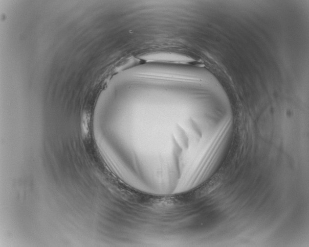 X0000052540075200507291901