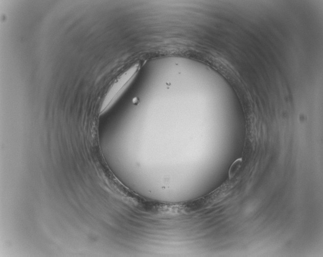 X0000052540077200507291901