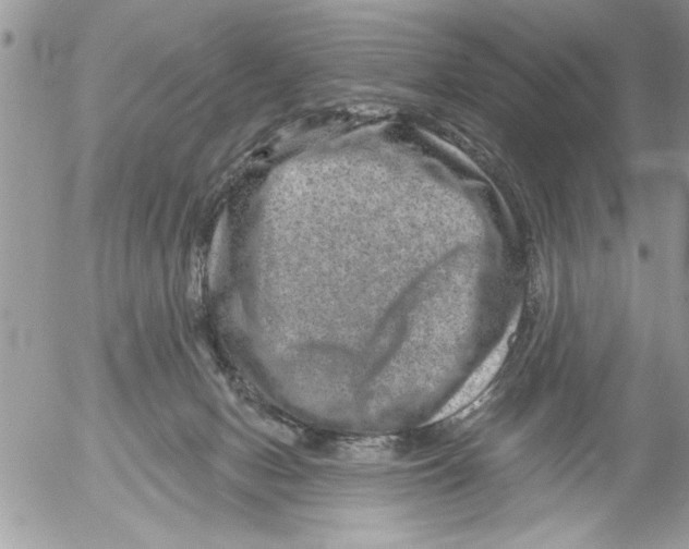 X0000052540078200507291901