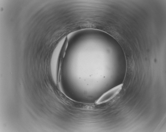 X0000052540080200507291901