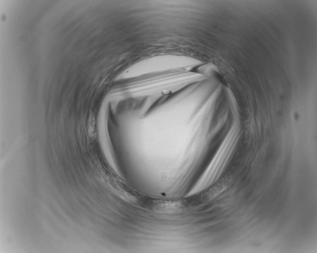 X0000052540081200507291901