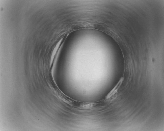 X0000052540084200507291901