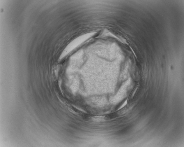 X0000052540085200507291901